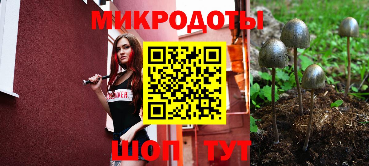 Псилоцибиновые грибы Magic Shrooms  Вход с VPN  Архангельск  Галлюциногенные грибы прущие грибы 